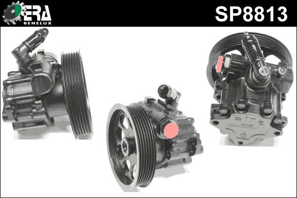 SP8813 ERA Benelux